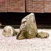 Zum Projekt Kyoto The Rock Garden